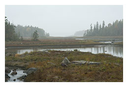 Inlet Fog